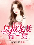 旧婚新爱：总裁宠妻有一套