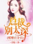 暖婚百分百，总裁别太深